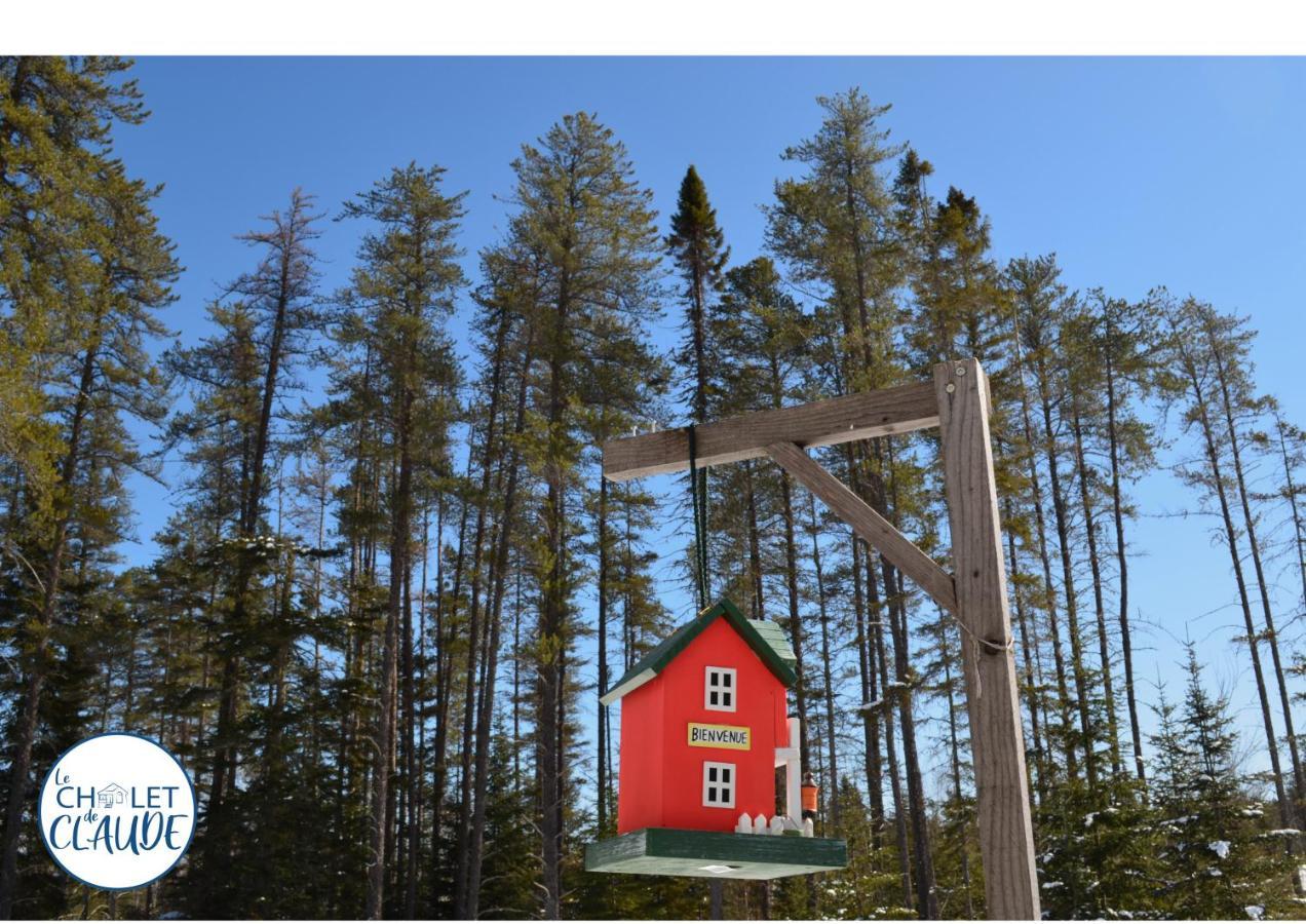 Le Chalet De Claude, Au Pied Des Monts-Valin Saint-David-de-Falardeau Buitenkant foto