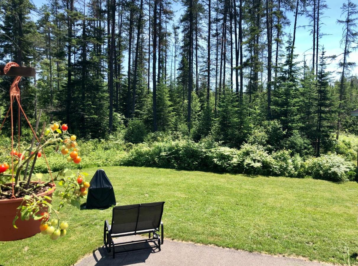 Le Chalet De Claude, Au Pied Des Monts-Valin Saint-David-de-Falardeau Buitenkant foto